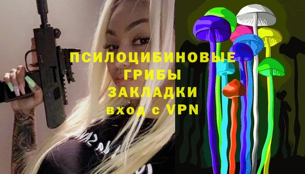 мдпв Краснотурьинск