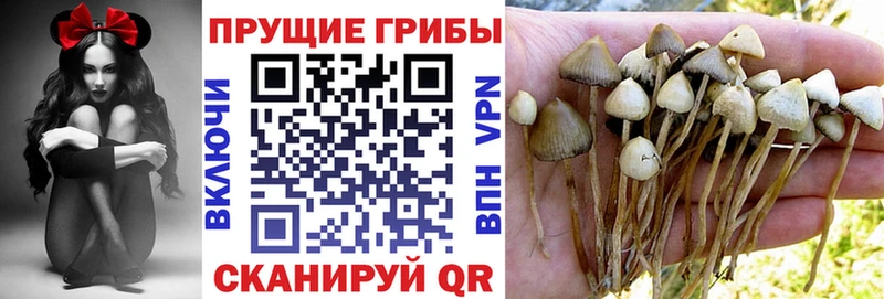 Псилоцибиновые грибы мухоморы  mega зеркало  Лабытнанги 